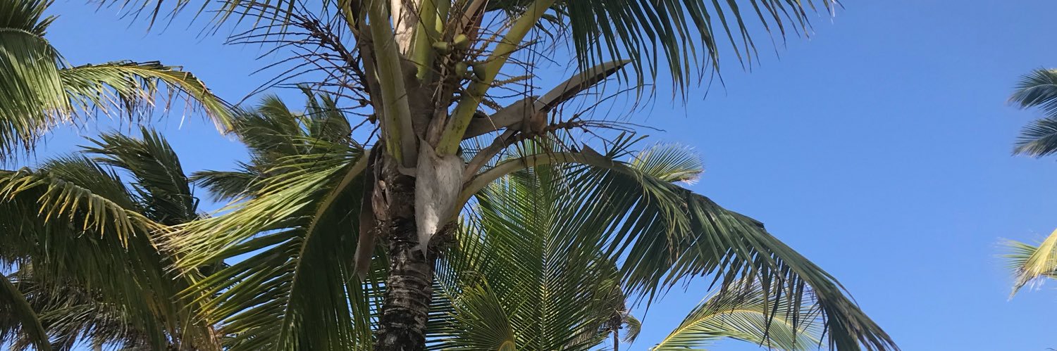 heyitsleilaaaa's profile banner image