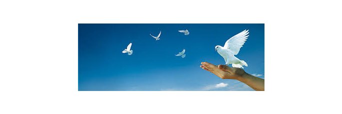 елена хамппу banner