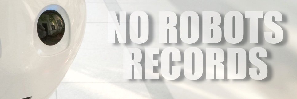norobotsrecords's profile banner image