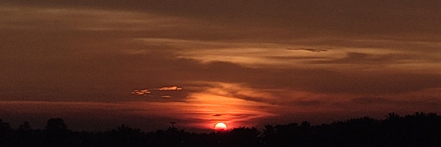 sarrasurf's profile banner image