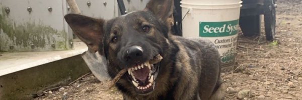 max_lozon Profile Banner