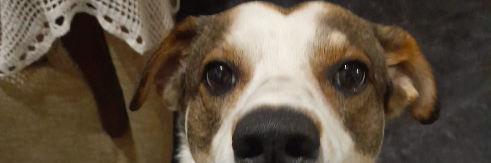 B1999_franco's profile banner image