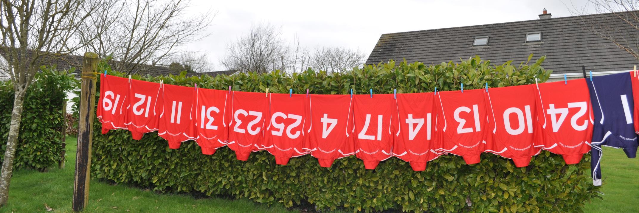 Ctown Kinnegad LGFA banner