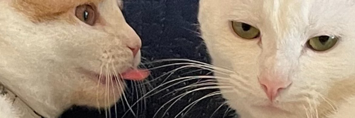 Always_punny's profile banner image