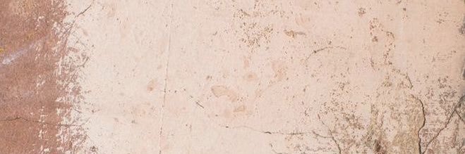 CORINNATOVAR's profile banner image