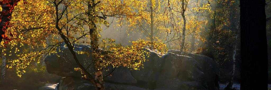 LaColoBSB's profile banner image