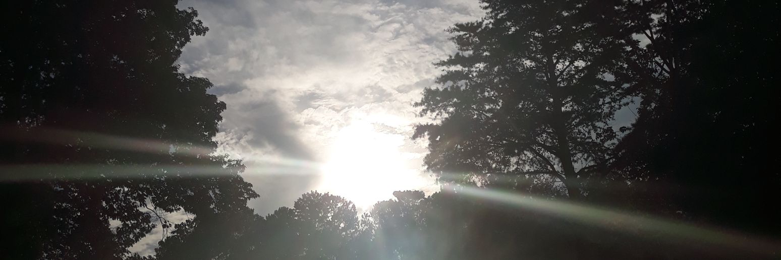 PsalmSelah's profile banner image