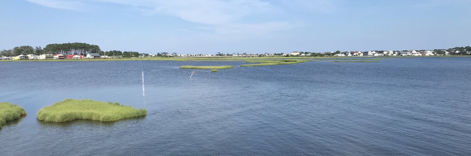 Jennifer Walker banner