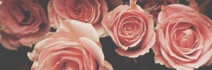 SussetFernandez's profile banner image