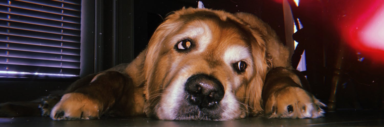 tboundzz's profile banner image