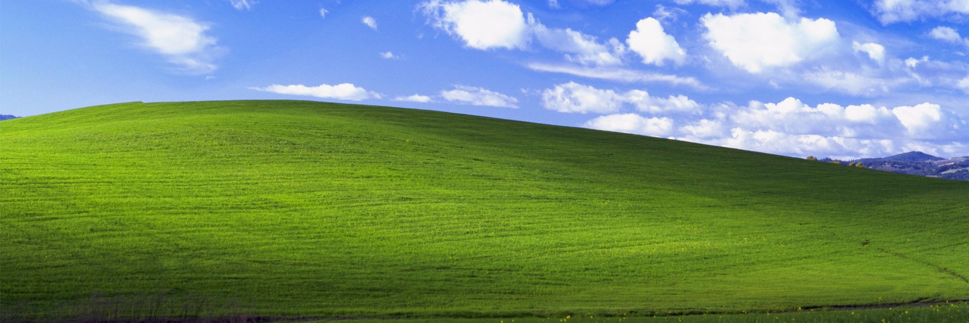 Hotmusterd's profile banner image