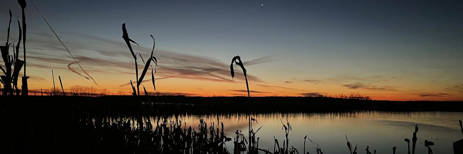 bCARPP's profile banner image