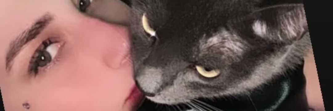 Malesillos's profile banner image