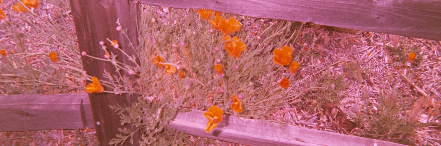 andrea_1357's profile banner image