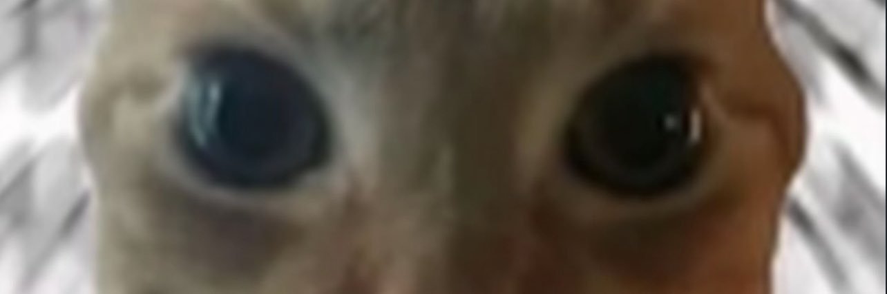 H5uarez's profile banner image