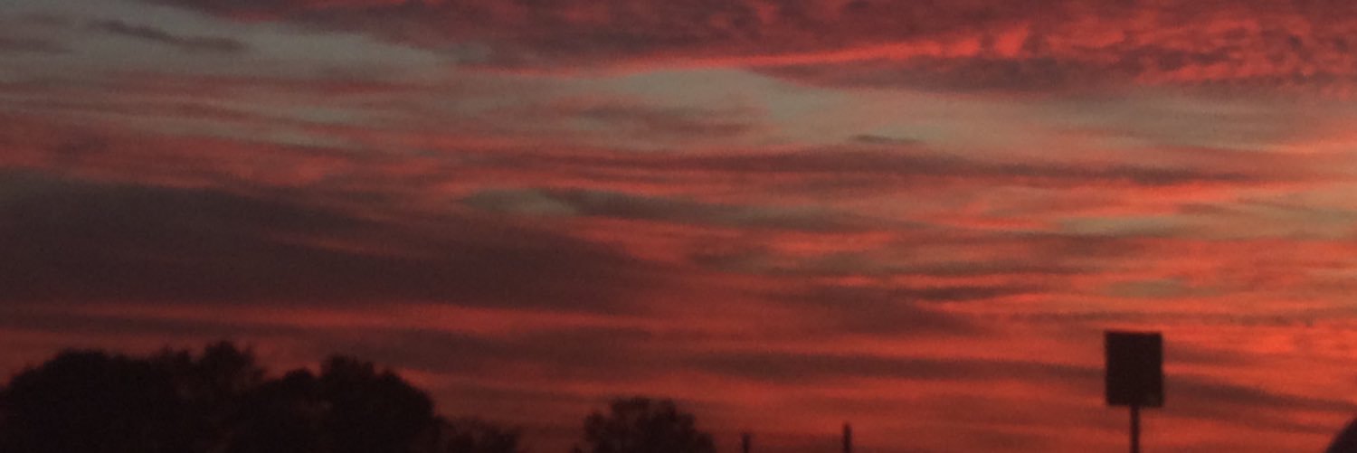 Doseylos's profile banner image