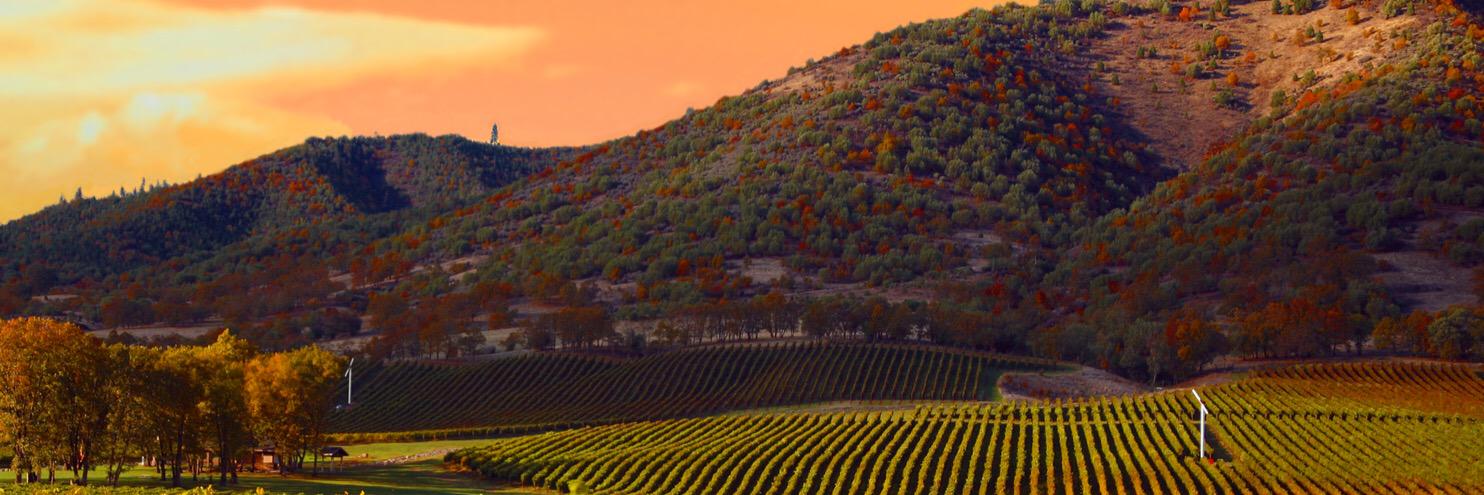 Vinoteque's profile banner image