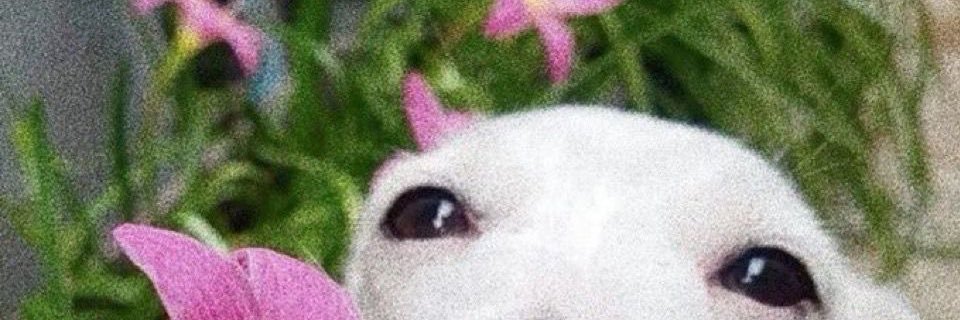 nnnnaaatt_'s profile banner image