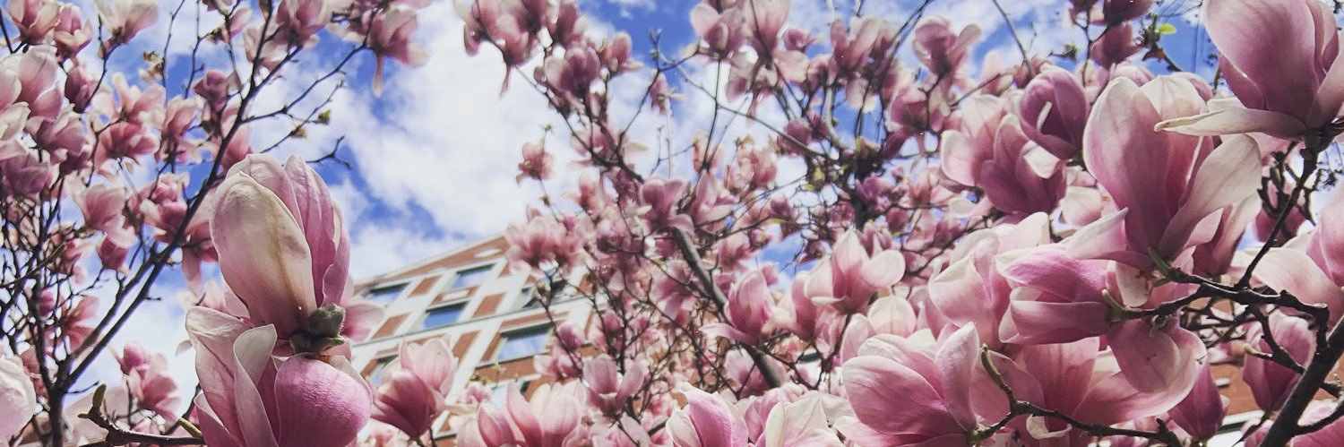 Stephanie Moffitt banner