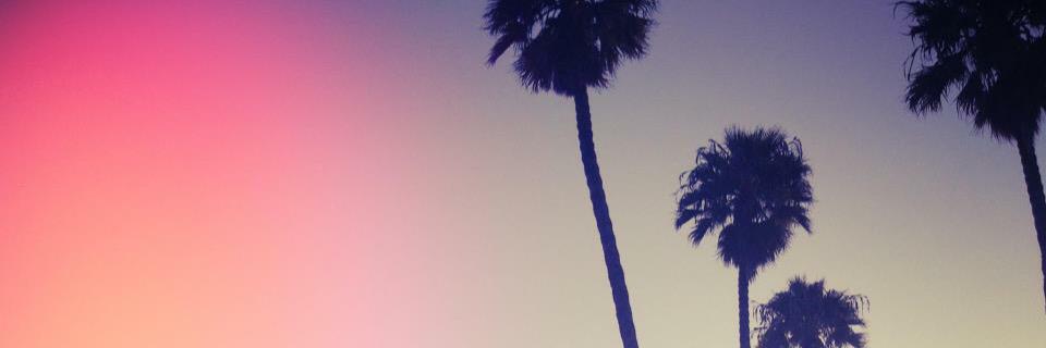 haleyaylsworth's profile banner image