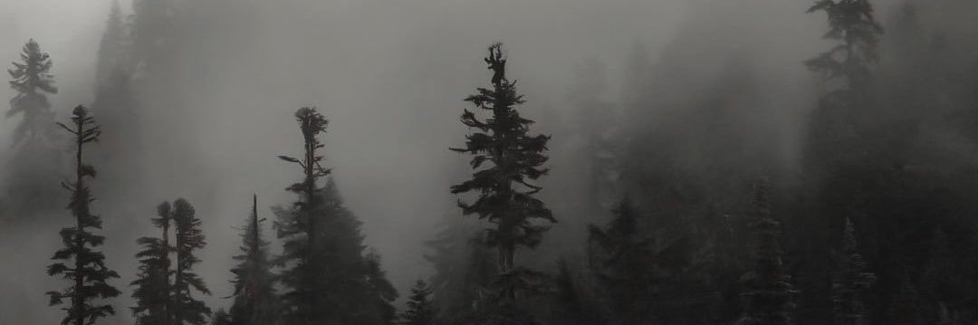 sky banner