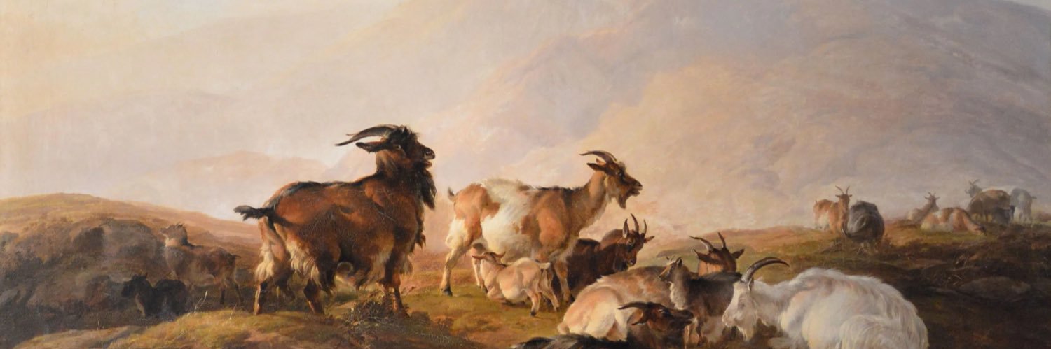 brandomthegoat's profile banner image