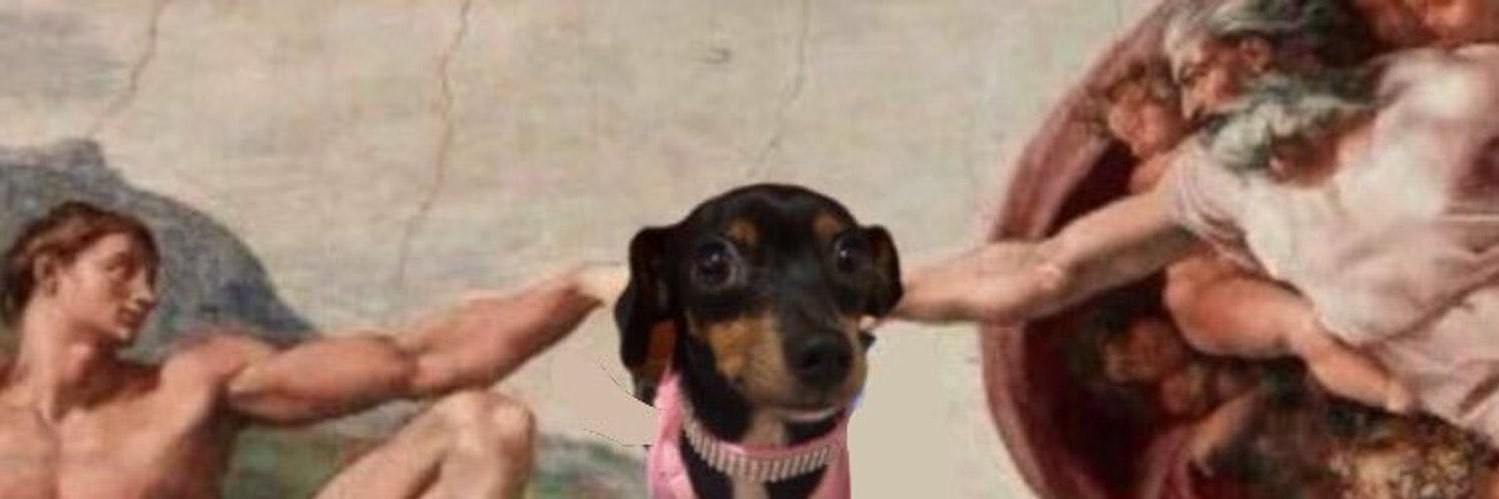 lssdz_'s profile banner image