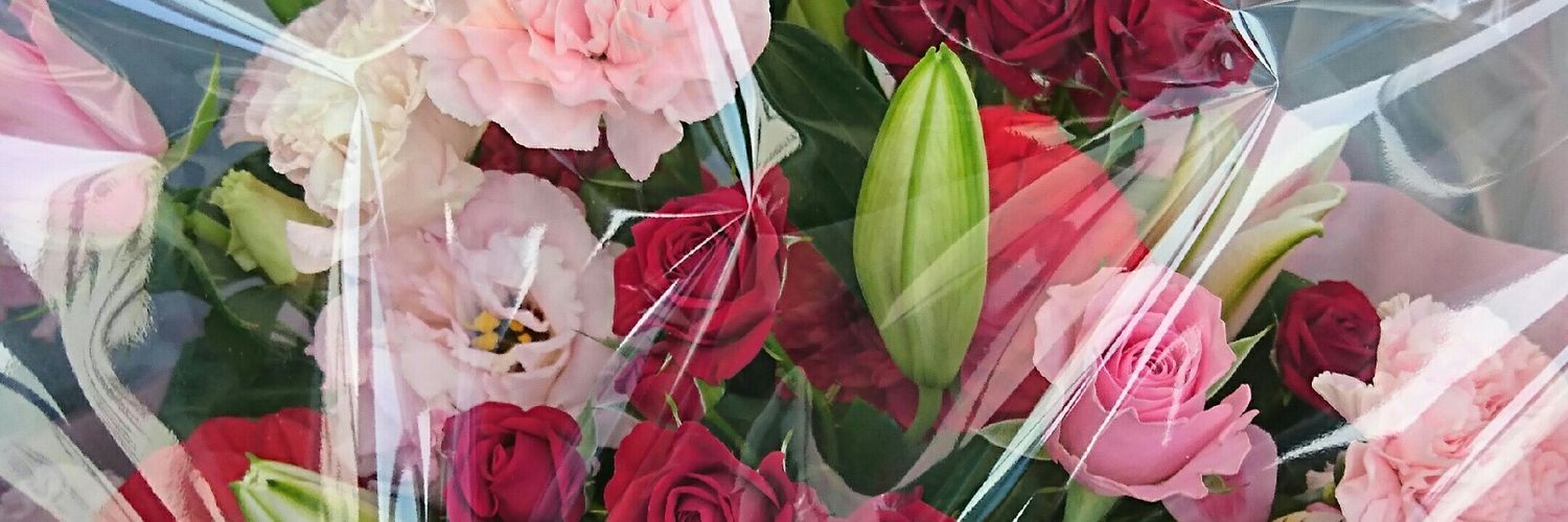 プーママ banner
