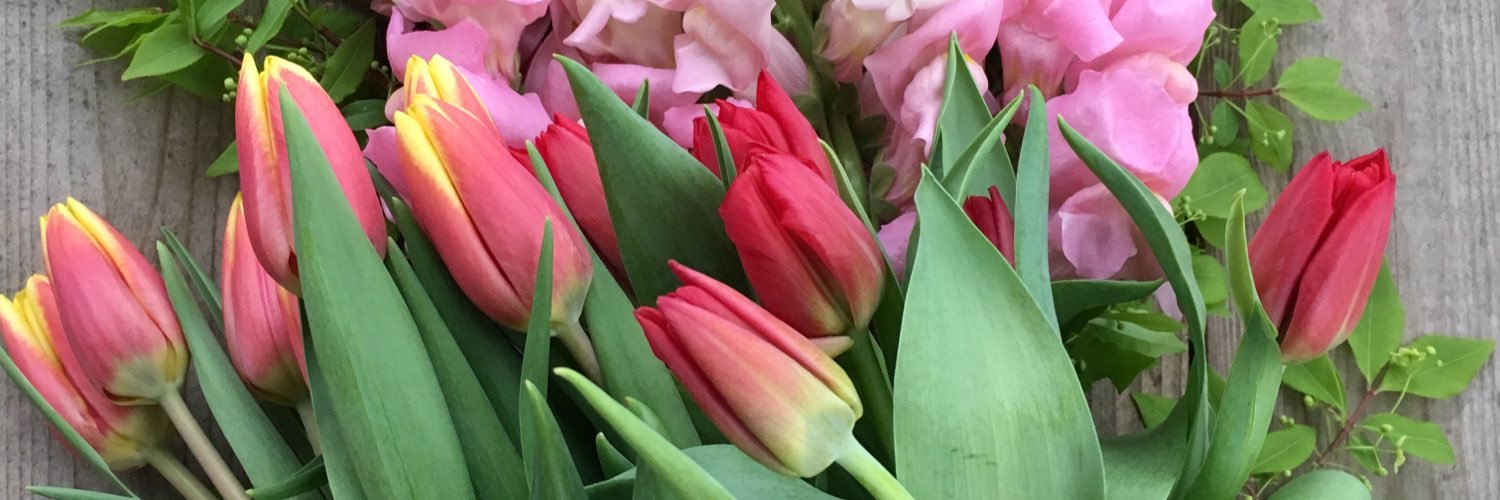 bloomery's profile banner image