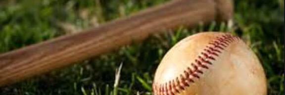 Fox Warriors BB banner