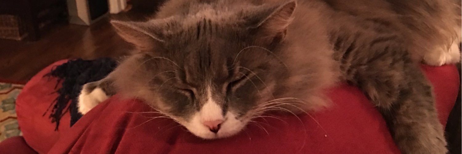 BeverlyAnnel's profile banner image