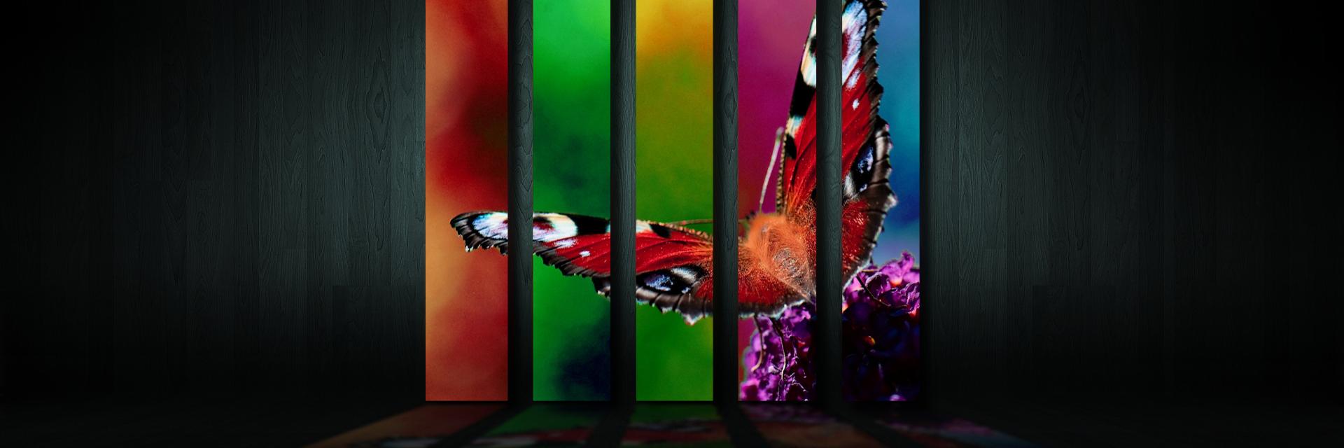 bolvakinap's profile banner image