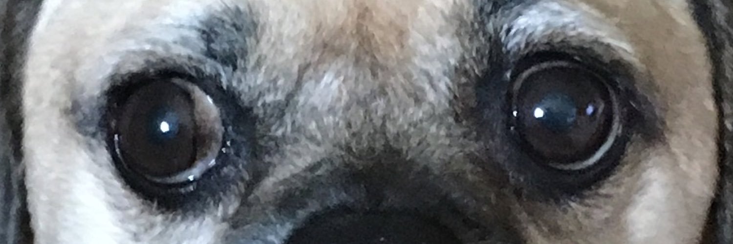 bemorelikebmo's profile banner image
