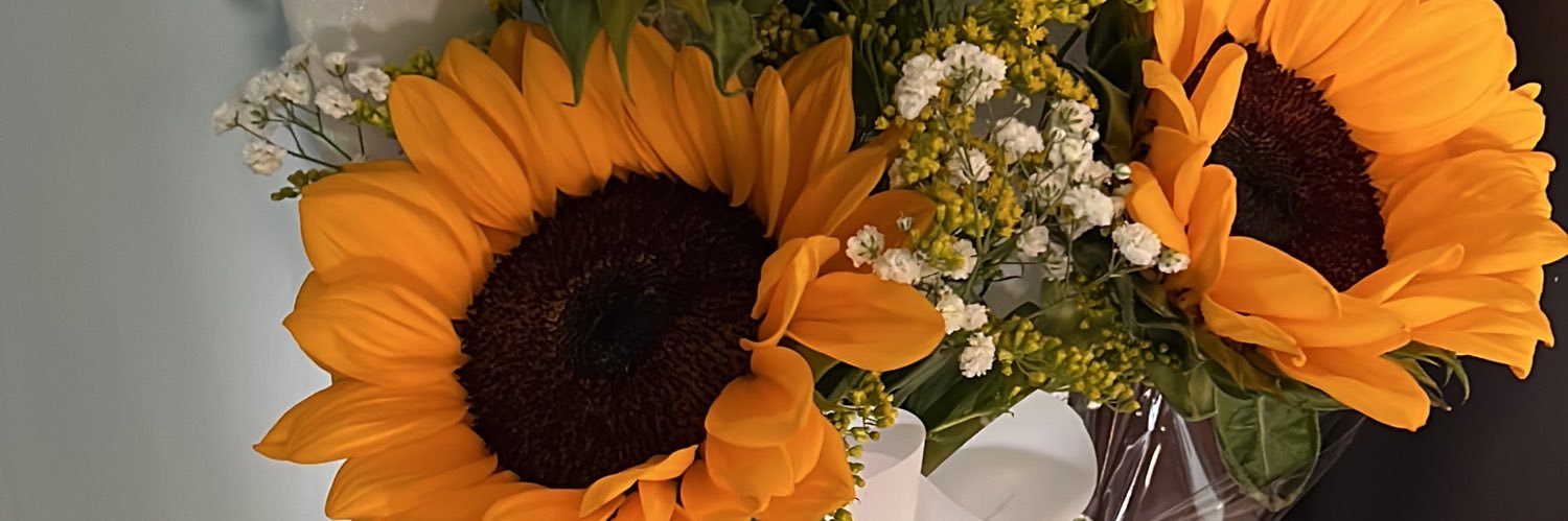 Aidasierra's profile banner image