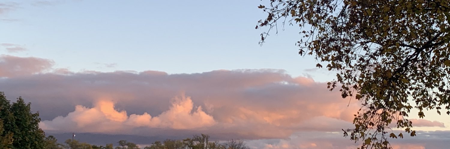 Maddystimac1's profile banner image
