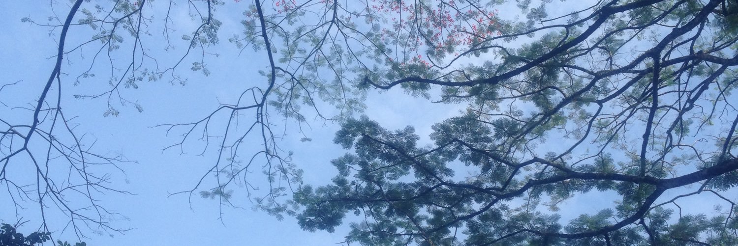 denisacil's profile banner image