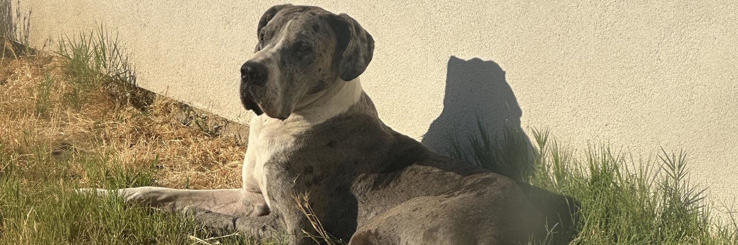 KueenKunta's profile banner image