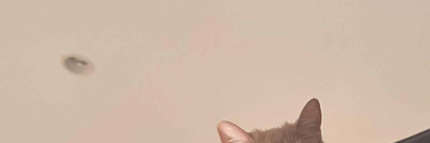fu_1013_'s profile banner image