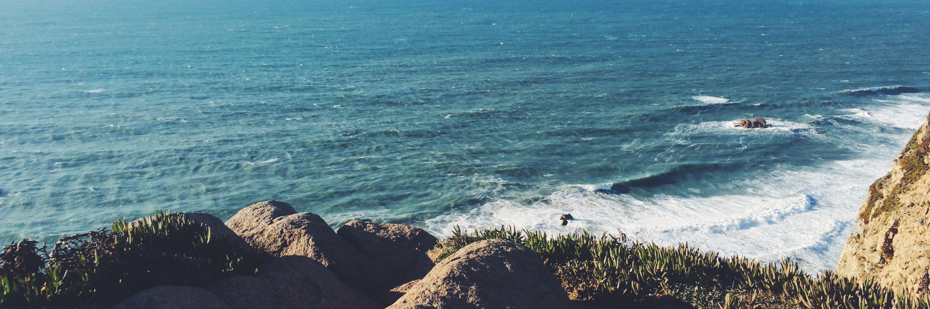 Paige8338's profile banner image