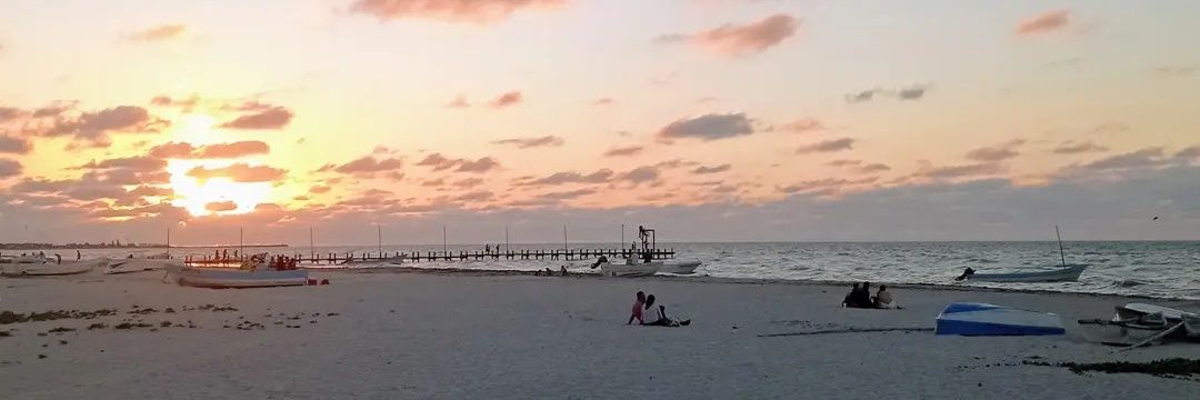 sandyprinx's profile banner image