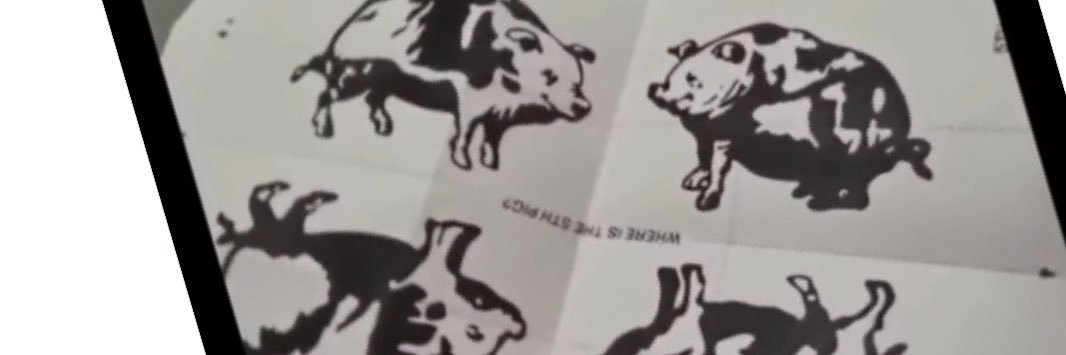 jib628's profile banner image
