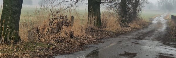 FrikaWies Profile Banner