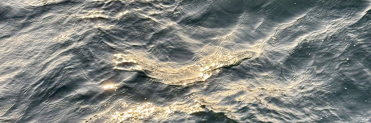 UTaboadaG's profile banner image