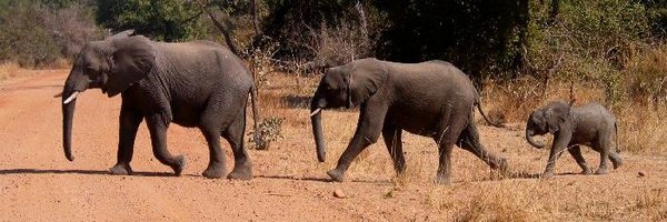 AngelaMBarnett Profile Banner