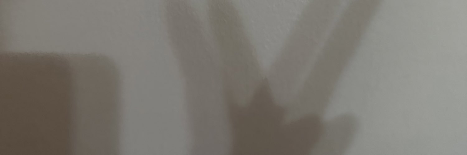 ngynchu_'s profile banner image