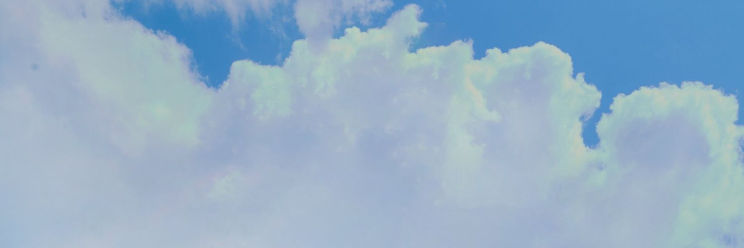 n i k 🍞 banner