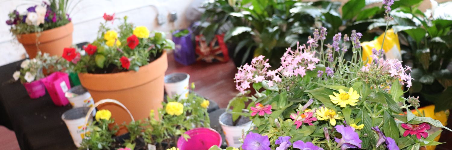 Chicago Bloom® Official banner