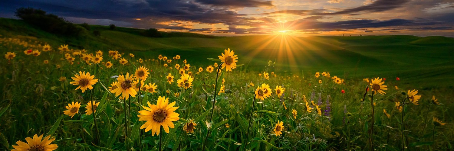 SanthoshSgr4c's profile banner image