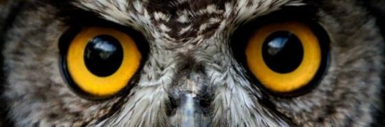 tre_be_in's profile banner image