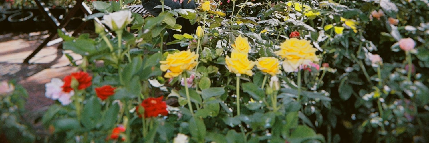Nanvisuda's profile banner image